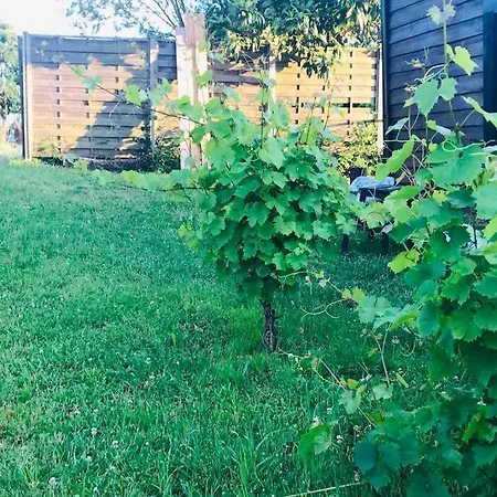 Holiday home La Cabane Des Vignes Avec Nordique *