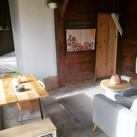 La Cabane Des Vignes Avec Nordique Puisseguin