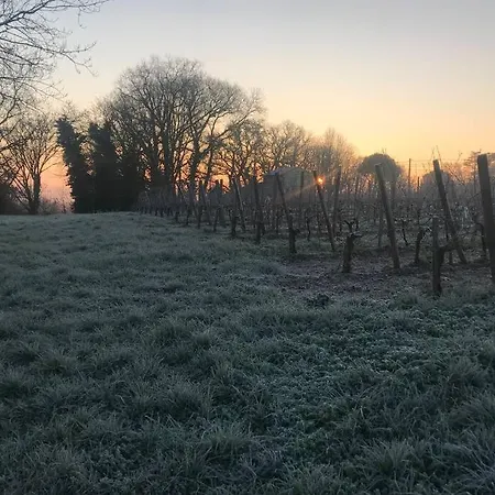 La Cabane Des Vignes Avec Nordique * Puisseguin